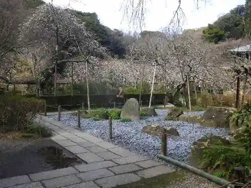 瑞泉寺の庭園