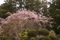 白幡神社の庭園