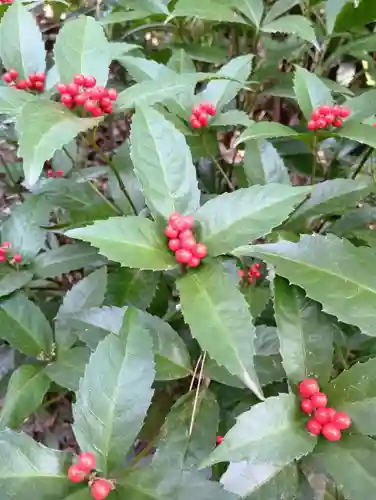 明治神宮(東京都)