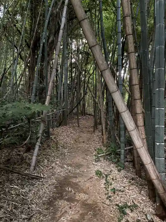 熊野神社(千葉県)