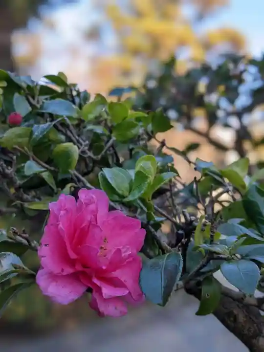 伊勢の国 四天王寺の自然