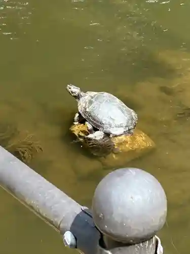 巌島神社(茨城県)