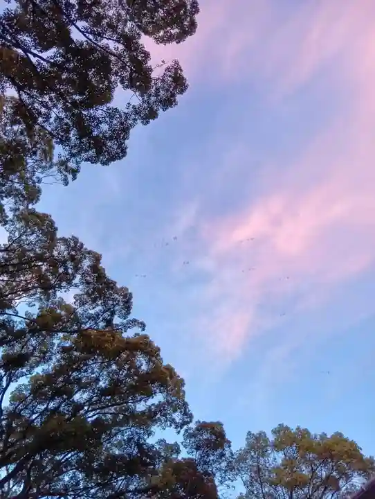 刺田比古神社の自然