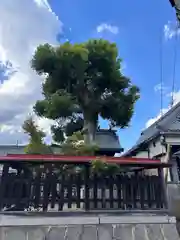 白山神社(奈良県)