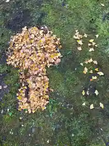 荒雄川神社(宮城県)(2024年11月29日(金) 09時15分05秒投稿)