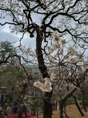 湯島天満宮(東京都)