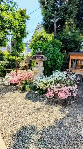 菊田神社の自然