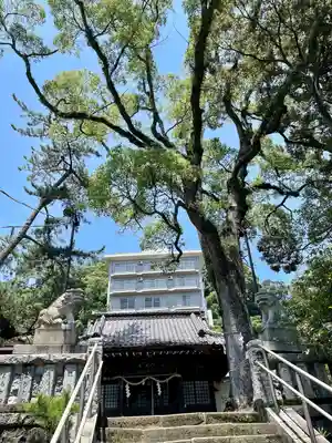 湯前神社(静岡県)