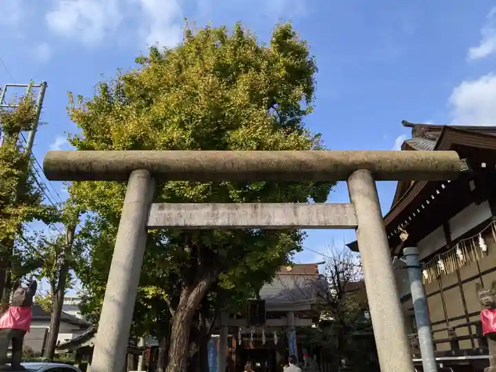 飛木稲荷神社の鳥居