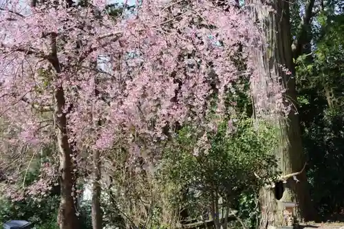 阿久津「田村神社」（郡山市阿久津町）旧社名：伊豆箱根三嶋三社の庭園