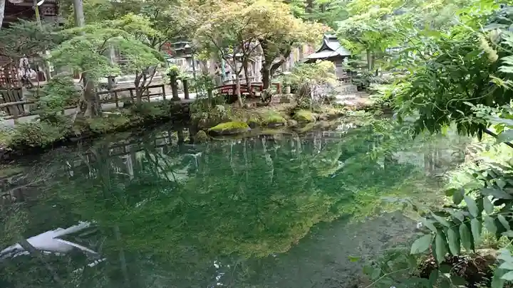 横山不動尊の庭園