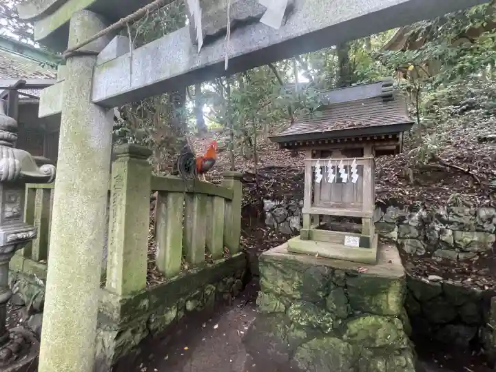 大甕神社(茨城県)