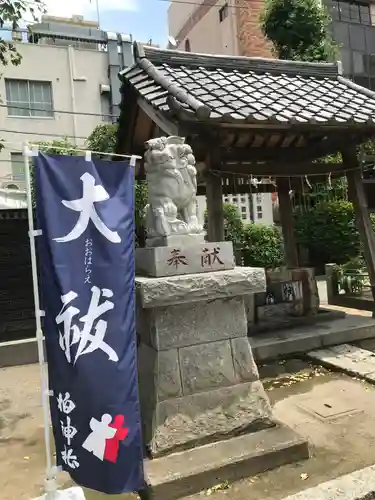 柏神社の狛犬