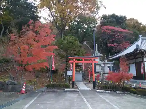 法輪寺の鳥居