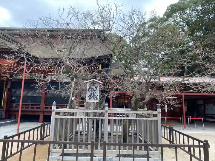 太宰府天満宮の庭園