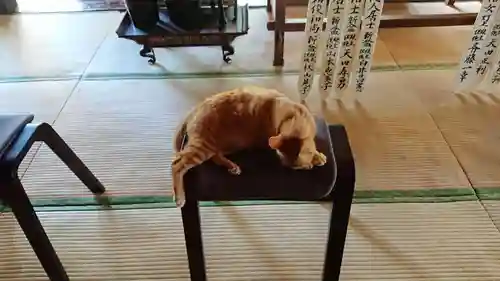 天然寺の動物
