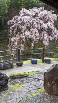 正法寺(京都府)