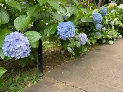 本土寺(千葉県)
