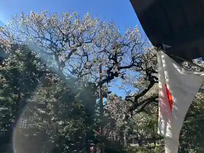 安養寺(東京都)