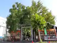 波除神社(波除稲荷神社)の鳥居