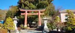 河口浅間神社の鳥居