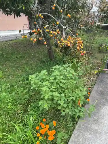 高皇産神社(兵庫県)