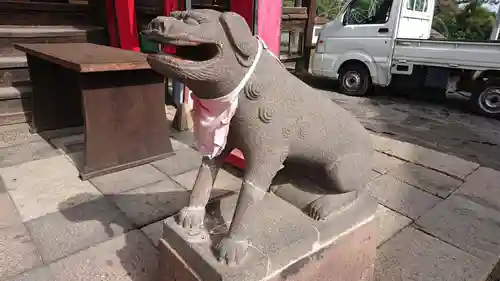 長谷寺(白岩観音)の狛犬
