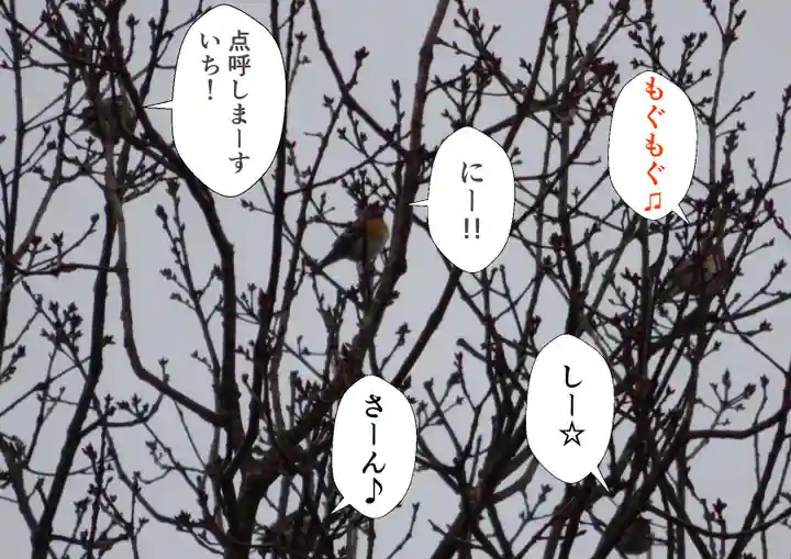 留辺蘂神社の動物