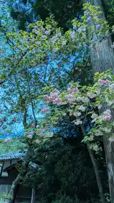 八幡神社(滋賀県)