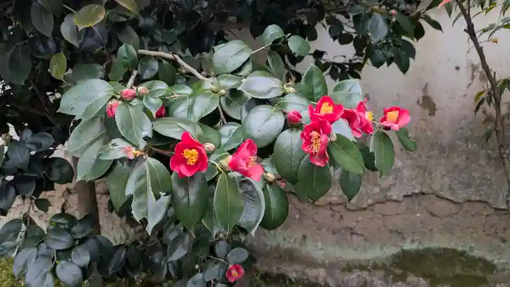 尊陽院(京都府)