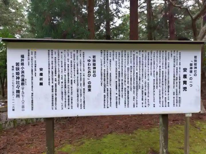 若狭姫神社(若狭彦神社下社)の{uncategorized: "未分類", other: "その他", undefined: "問題あり", building: "その他建物", grave: "お墓", sacred_gate: "鳥居", guardian: "狛犬", statue: "像", buddha: "仏像", history: "歴史", nature: "自然", garden: "庭園", animal: "動物", pagoda: "塔", temizu: "手水舎", mountain_gate: "山門・神門", sanctuary: "本殿・本堂", subordinate: "末社・摂社", art: "芸術", scenery: "景色", jizo: "地蔵", ema: "絵馬", goshuin: "御朱印", omikuji: "おみくじ", items: "授与品その他", amulet: "お守り", goshuincho: "御朱印帳", eats: "食事", festival: "お祭り", votive_dance: "神楽", shichigosan: "七五三参", wedding: "結婚式", experience: "体験その他", initially: "初詣", around: "周辺", anti_infection: "感染症対策"}