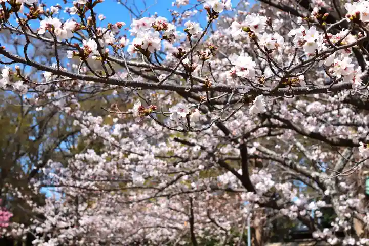 三津厳島神社(愛媛県)