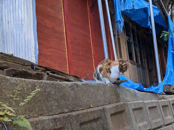 大山祇神社奥の院 生樹の御門(愛媛県)