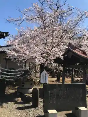 金蔵寺のその他建物
