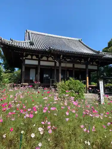 般若寺 ❁﻿コスモス寺❁の本殿・本堂