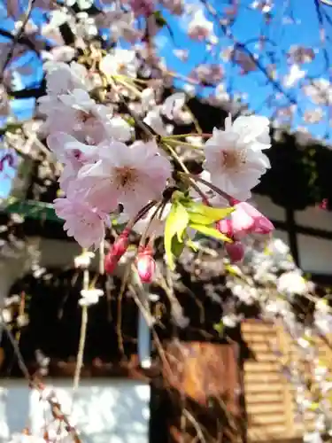 玄国寺(東京都)