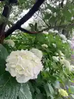 国上寺(新潟県)