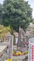 大渕寺の{uncategorized: "未分類", other: "その他", undefined: "問題あり", building: "その他建物", grave: "お墓", sacred_gate: "鳥居", guardian: "狛犬", statue: "像", buddha: "仏像", history: "歴史", nature: "自然", garden: "庭園", animal: "動物", pagoda: "塔", temizu: "手水舎", mountain_gate: "山門・神門", sanctuary: "本殿・本堂", subordinate: "末社・摂社", art: "芸術", scenery: "景色", jizo: "地蔵", ema: "絵馬", goshuin: "御朱印", omikuji: "おみくじ", items: "授与品その他", amulet: "お守り", goshuincho: "御朱印帳", eats: "食事", festival: "お祭り", votive_dance: "神楽", shichigosan: "七五三参", wedding: "結婚式", experience: "体験その他", initially: "初詣", around: "周辺", anti_infection: "感染症対策"}