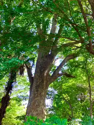 歓喜院(茨城県)