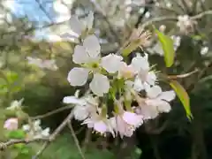 普門寺(切り絵御朱印発祥の寺)の自然