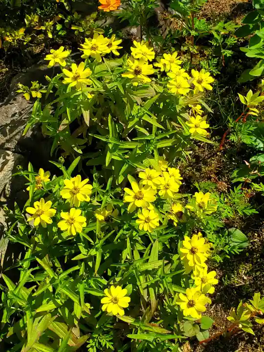 大鏑神社(福島県)
