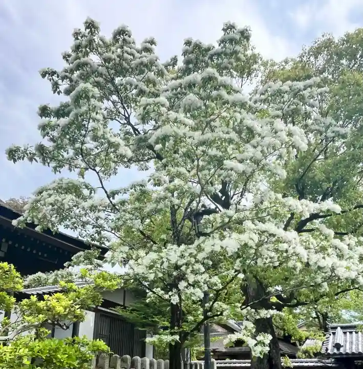 伏見稲荷大社の{uncategorized: "未分類", other: "その他", undefined: "問題あり", building: "その他建物", grave: "お墓", sacred_gate: "鳥居", guardian: "狛犬", statue: "像", buddha: "仏像", history: "歴史", nature: "自然", garden: "庭園", animal: "動物", pagoda: "塔", temizu: "手水舎", mountain_gate: "山門・神門", sanctuary: "本殿・本堂", subordinate: "末社・摂社", art: "芸術", scenery: "景色", jizo: "地蔵", ema: "絵馬", goshuin: "御朱印", omikuji: "おみくじ", items: "授与品その他", amulet: "お守り", goshuincho: "御朱印帳", eats: "食事", festival: "お祭り", votive_dance: "神楽", shichigosan: "七五三参", wedding: "結婚式", experience: "体験その他", initially: "初詣", around: "周辺", anti_infection: "感染症対策"}