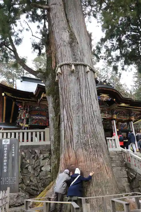 三峯神社(埼玉県)