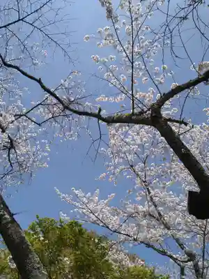 龍泉寺(大阪府)