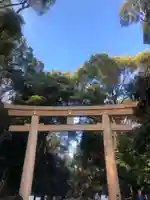 明治神宮(東京都)