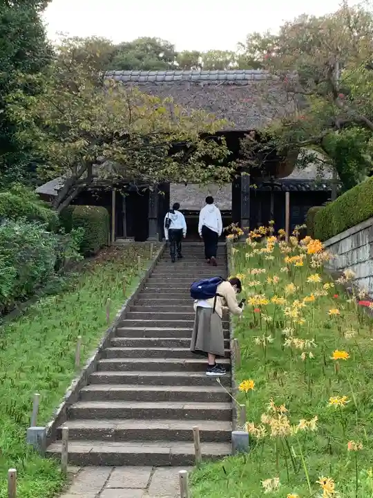 横浜 西方寺の山門・神門
