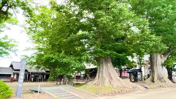 白鳥神社(長野県)
