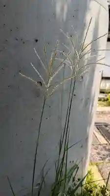 尊陽院(京都府)