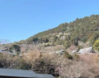 勝尾寺の{uncategorized: "未分類", other: "その他", undefined: "問題あり", building: "その他建物", grave: "お墓", sacred_gate: "鳥居", guardian: "狛犬", statue: "像", buddha: "仏像", history: "歴史", nature: "自然", garden: "庭園", animal: "動物", pagoda: "塔", temizu: "手水舎", mountain_gate: "山門・神門", sanctuary: "本殿・本堂", subordinate: "末社・摂社", art: "芸術", scenery: "景色", jizo: "地蔵", ema: "絵馬", goshuin: "御朱印", omikuji: "おみくじ", items: "授与品その他", amulet: "お守り", goshuincho: "御朱印帳", eats: "食事", festival: "お祭り", votive_dance: "神楽", shichigosan: "七五三参", wedding: "結婚式", experience: "体験その他", initially: "初詣", around: "周辺", anti_infection: "感染症対策"}