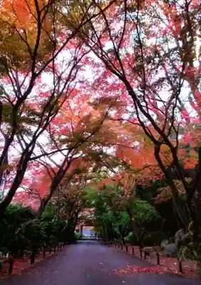 高円寺(東京都)